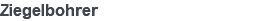 Ziegelbohrer